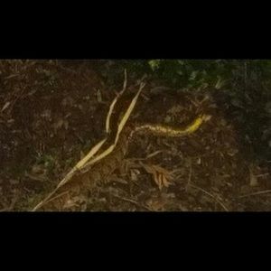 Meet your Posher, Kevin